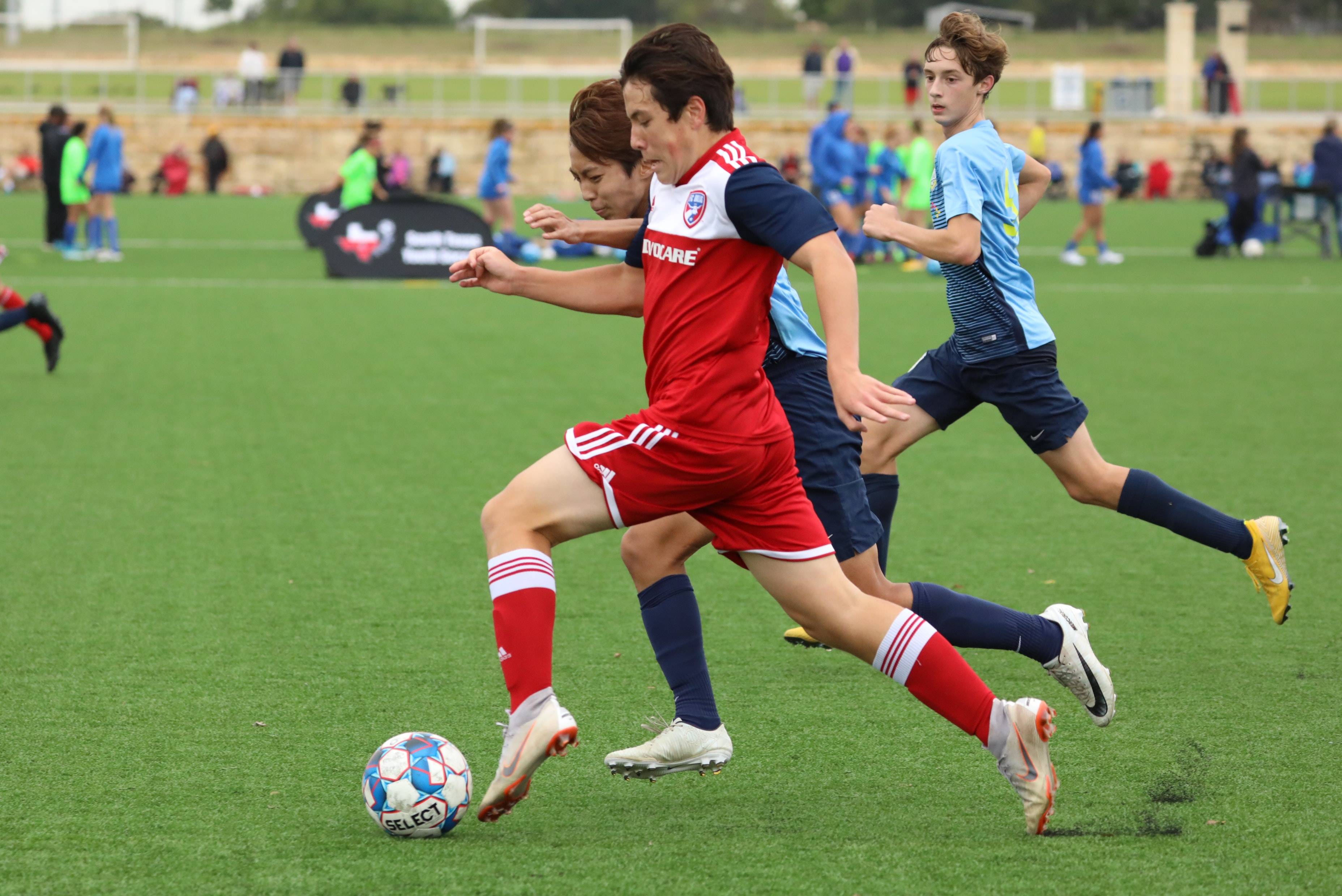 所展示的那 所展示的那