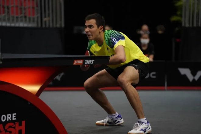 内茨的评分 内茨的评分